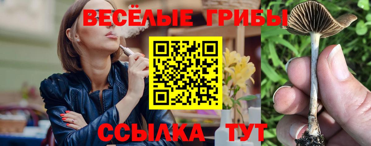 Асино  Галлюциногенные грибы ЛСД  Псилоцибиновые грибы Psilocybine cubensis  Вход с VPN 